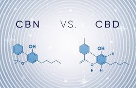 cbn vs cbd